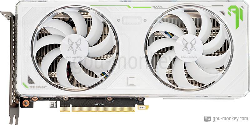 Manli GeForce RTX 4060 Polar Fox Twin (M2624) vs XFX Radeon RX 570 RS ...